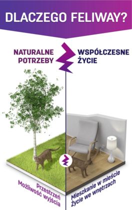 przestrzeń