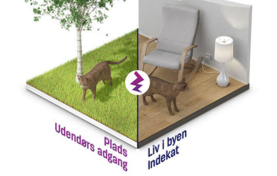 Katten kræver plads