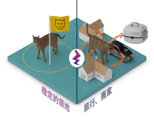 稳定