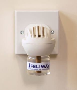 Feliway diffuser fire hot sale